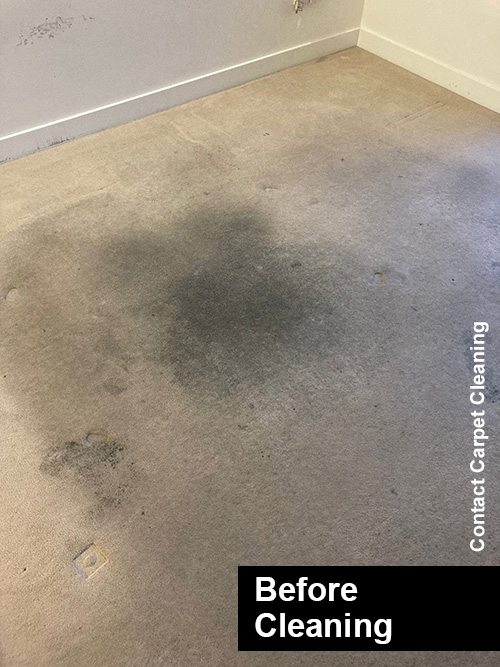 Specialist Office and School Carpet Cleaning